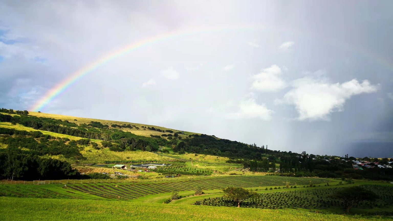 Hawaii agricultural land beneath a rainbow